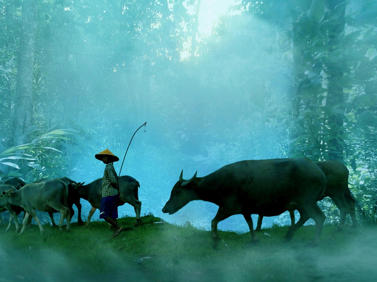 g5a1ef9edc9621781e992e8c4f3ddec4dc4847a1b77135acfb07d793f2616705d9dfb86a26828ba4d4a544101d375ed08 1280