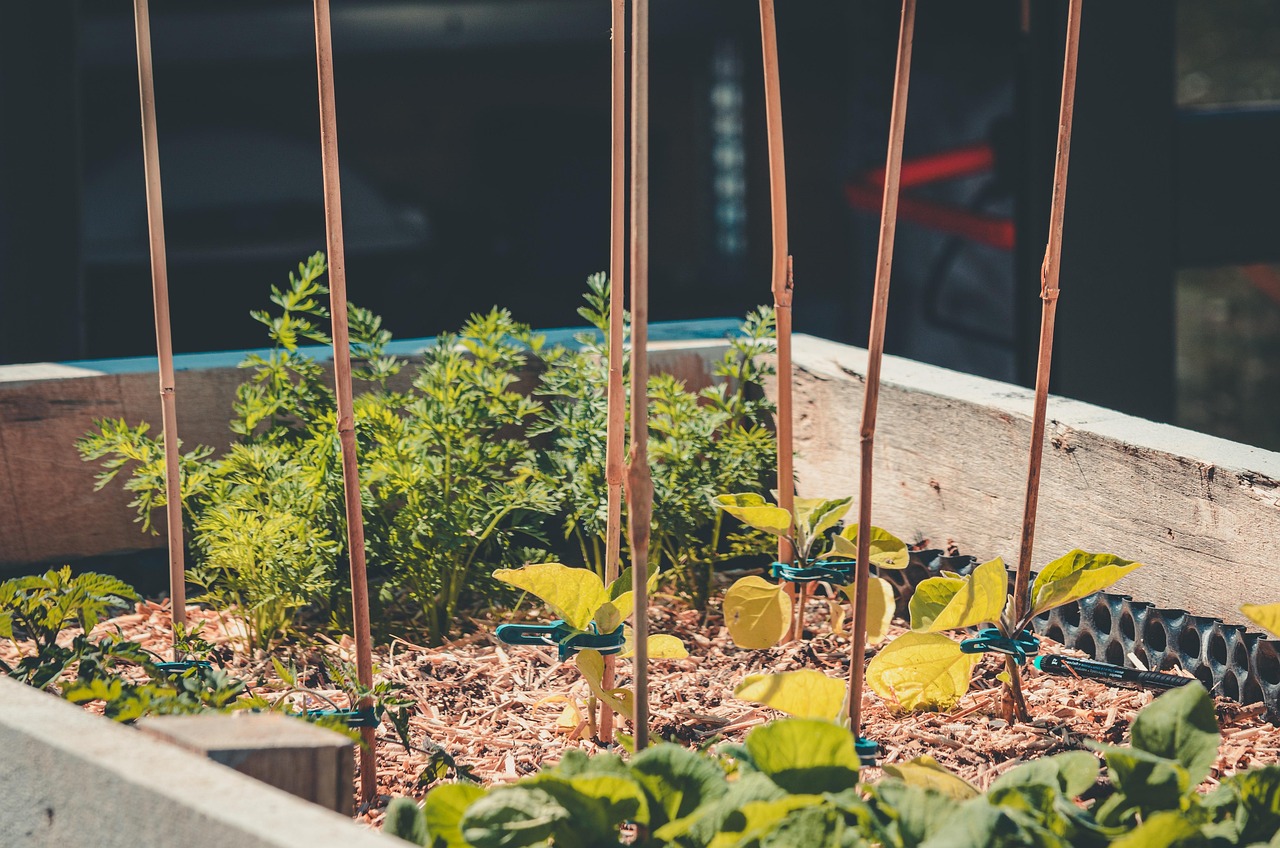 Comment construire un potager surélevé sans compétences particulières en bricolage ? découvrez nos bacs de jardin surélevés, idéaux pour cultiver facilement vos légumes et fleurs tout en améliorant le drainage et la qualité du sol.