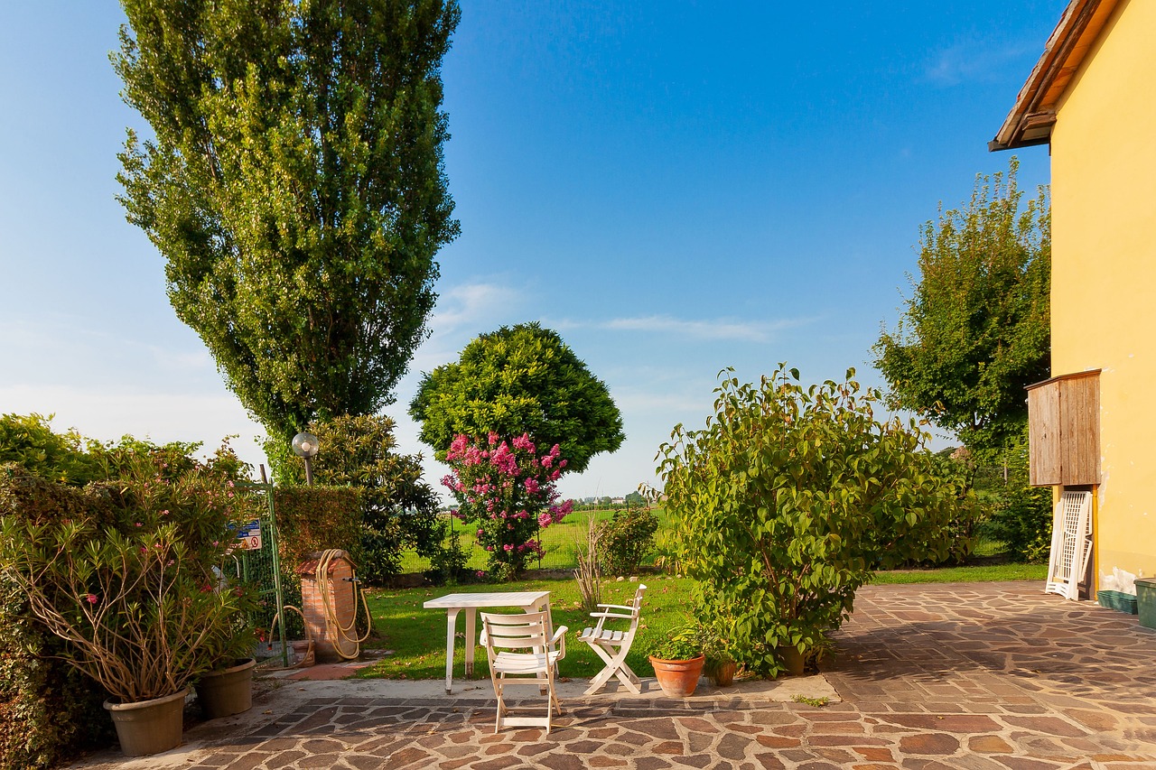 Concevoir une terrasse en bois : Guide pratique et conseils utiles
